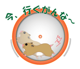 Golden hamster's useful IBARAKI accent sticker #1335372