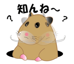 Golden hamster's useful IBARAKI accent sticker #1335377