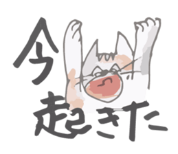 Tortoiseshell kitten"Mikke" sticker #1337069