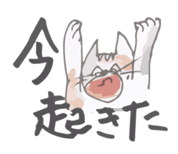 Tortoiseshell kitten"Mikke" sticker #1337069