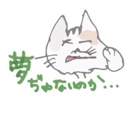 Tortoiseshell kitten"Mikke" sticker #1337073