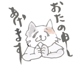 Tortoiseshell kitten"Mikke" sticker #1337087