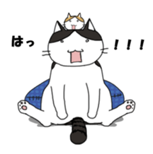 Tami of the cat sticker #1337415