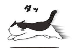 Tami of the cat sticker #1337417