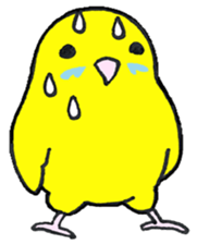 shower-my-little-bird