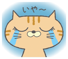 The cat of lovely round eyes sticker #1339915
