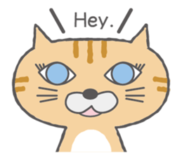 The cat of lovely round eyes sticker #1339934
