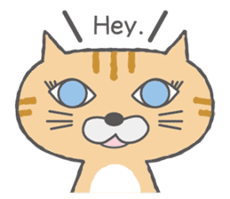 The cat of lovely round eyes sticker #1339934