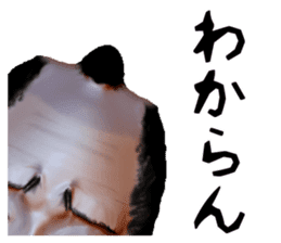 Samurai Saitama of cold feet sticker #1341221