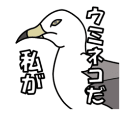 black-tailed gull sticker #1342426