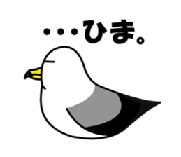 black-tailed gull sticker #1342430