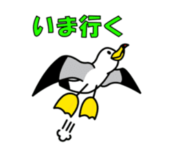black-tailed gull sticker #1342434