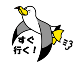 black-tailed gull sticker #1342435
