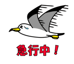 black-tailed gull sticker #1342436