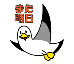 black-tailed gull sticker #1342438