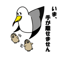 black-tailed gull sticker #1342456
