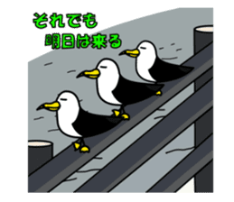 black-tailed gull sticker #1342465