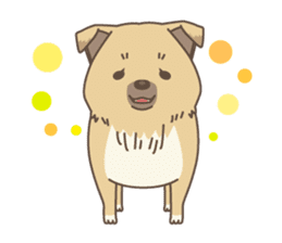 japanese so cute crosbreed Shiba dog sticker #1346203