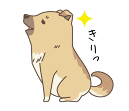 japanese so cute crosbreed Shiba dog sticker #1346213