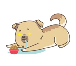 japanese so cute crosbreed Shiba dog sticker #1346214