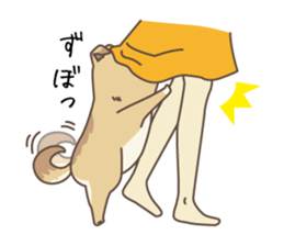 japanese so cute crosbreed Shiba dog sticker #1346216