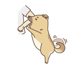 japanese so cute crosbreed Shiba dog sticker #1346217