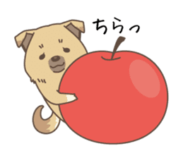 japanese so cute crosbreed Shiba dog sticker #1346218