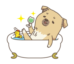 japanese so cute crosbreed Shiba dog sticker #1346221