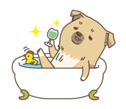 japanese so cute crosbreed Shiba dog sticker #1346221