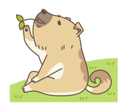 japanese so cute crosbreed Shiba dog sticker #1346226