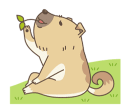 japanese so cute crosbreed Shiba dog sticker #1346226