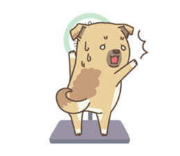 japanese so cute crosbreed Shiba dog sticker #1346228