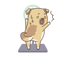 japanese so cute crosbreed Shiba dog sticker #1346228
