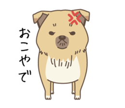 japanese so cute crosbreed Shiba dog sticker #1346229