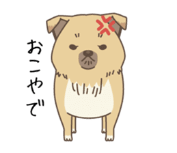 japanese so cute crosbreed Shiba dog sticker #1346229