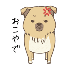 japanese so cute crosbreed Shiba dog sticker #1346229