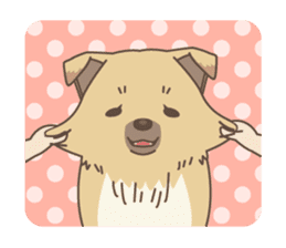 japanese so cute crosbreed Shiba dog sticker #1346237