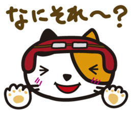 Pretty cat rider sticker #1346690