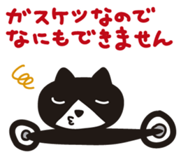Pretty cat rider sticker #1346692