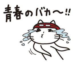 Pretty cat rider sticker #1346696