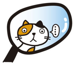 Pretty cat rider sticker #1346718