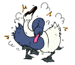 Birds (ornis) Sticker sticker #1347816