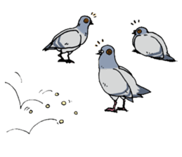 Birds (ornis) Sticker sticker #1347834