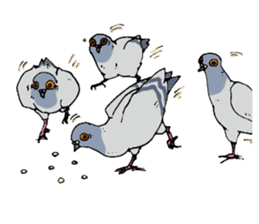 Birds (ornis) Sticker sticker #1347835