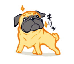 Pug's Life jp sticker #1350282