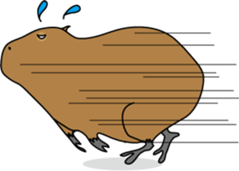 Capybara Days sticker #1350604