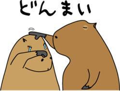 Capybara Days sticker #1350615