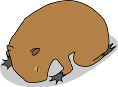 Capybara Days sticker #1350633