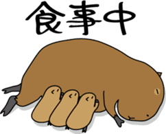 Capybara Days sticker #1350638