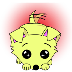 Chihuahua's "yuppi".